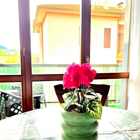 Russomanno Spoleto